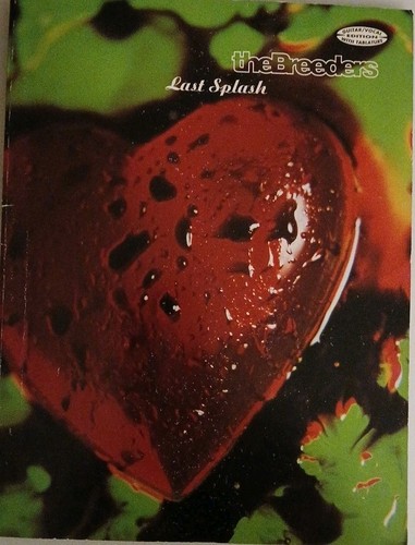 The breeders guitar tab - the,
